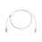 Patch Cord MC6 Modular Cat6 UTP, CM/LS0H, 5ft, Color Blanco, Diámetro Reducido (28AWG)