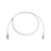 Patch Cord MC6 Modular Cat6 UTP, CM/LS0H, 5ft, Color Blanco, Diámetro Reducido (28AWG), Versión Bulk (Sin Empaque Individual)