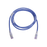 Patch Cord MC6 Modular Cat6 UTP, CM/LS0H, 5ft, Color Azul